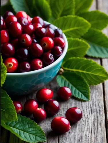 Cranberry Chutney -wax melt-