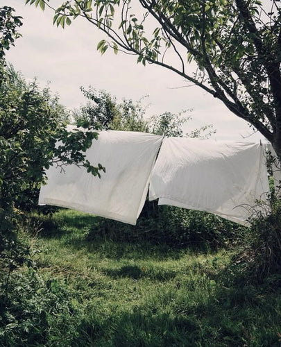 Clean Cotton - Wax Melt